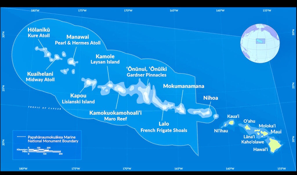 ハワイニュース 侵入種の海藻 珊瑚礁の生態に影響する可能性 ハワイ諸島北西部