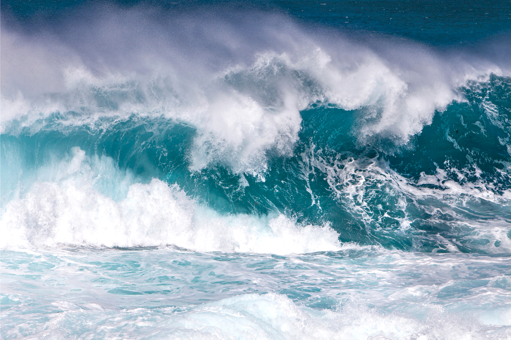 wave-wild-crash-splash.jpg