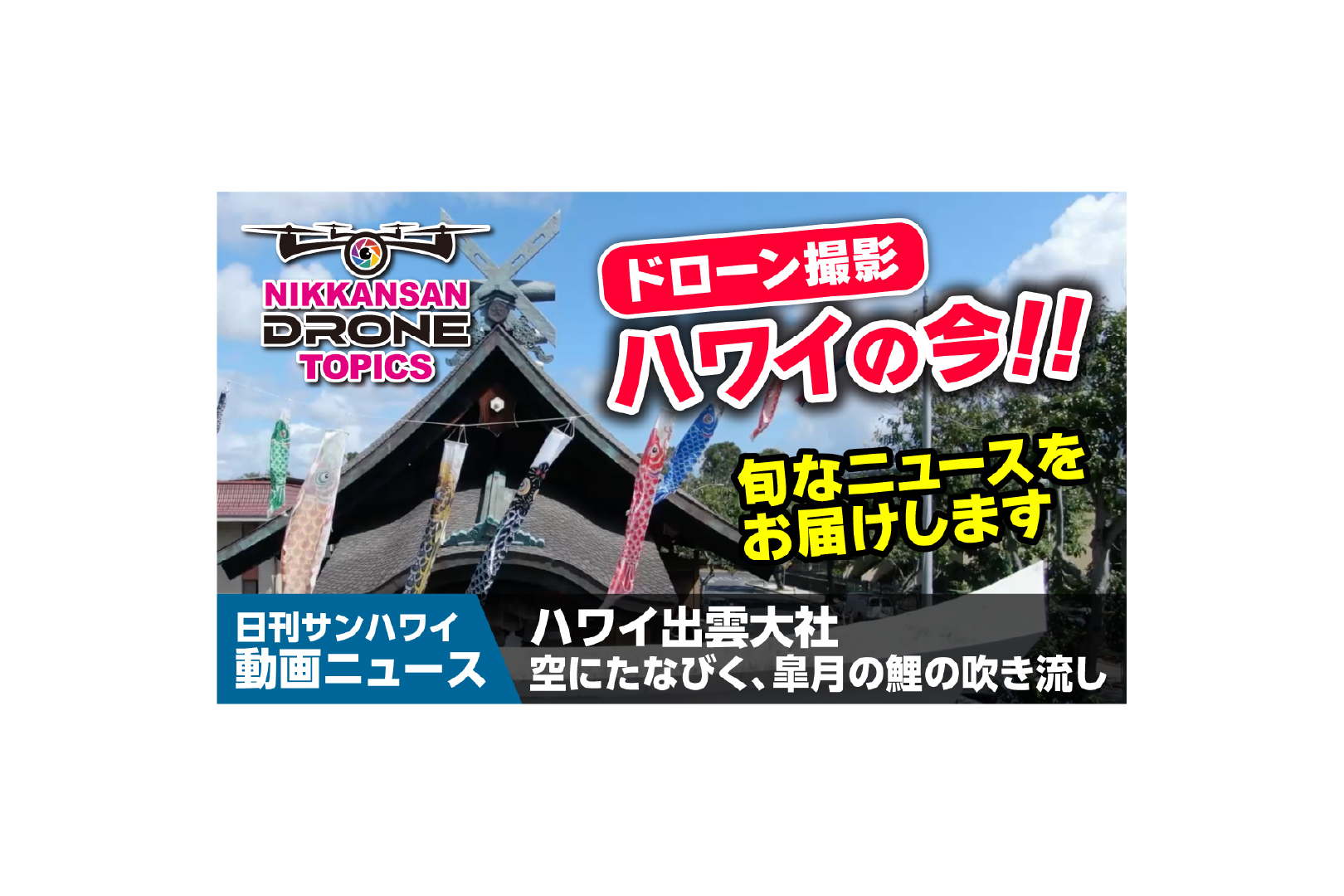 ハワイ出雲大社 空にたなびく、皐月の鯉の吹き流し